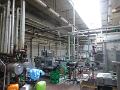 Bild (59)